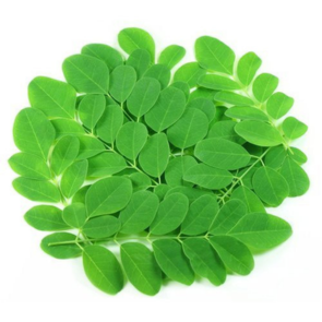 MORINGA