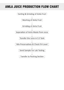 Amla Juice Manufacturing process