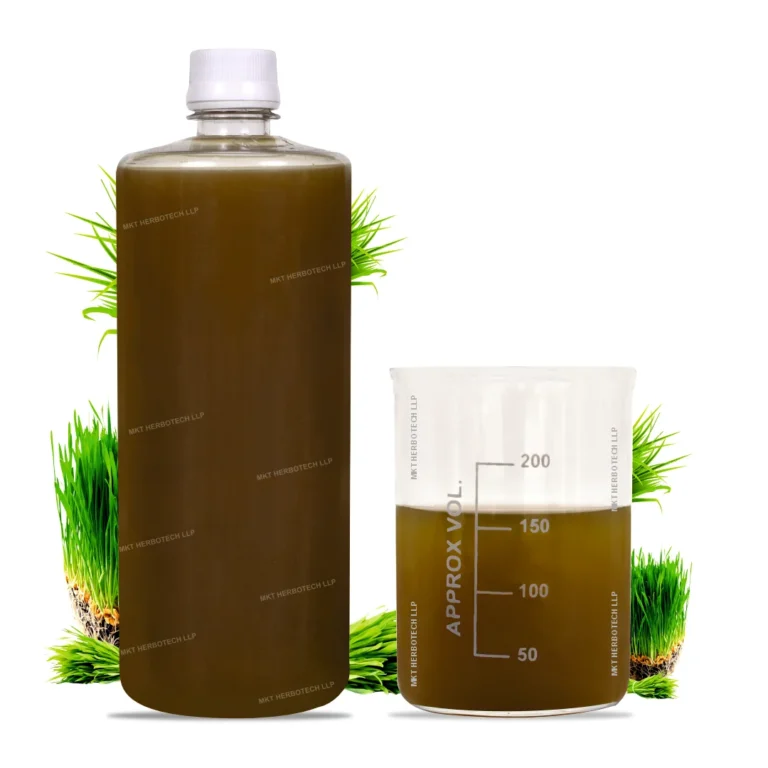 Wheatgrass Juice4