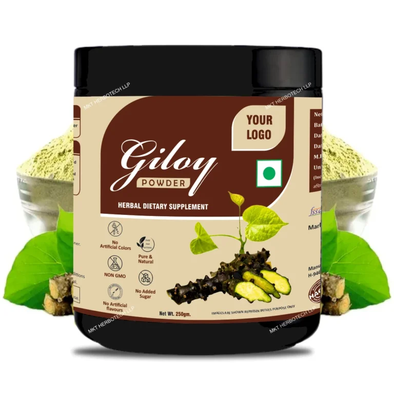 Giloy Powder1