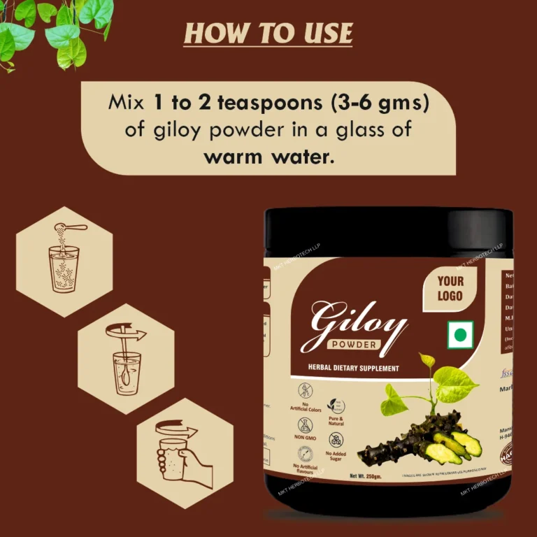 Giloy Powder4
