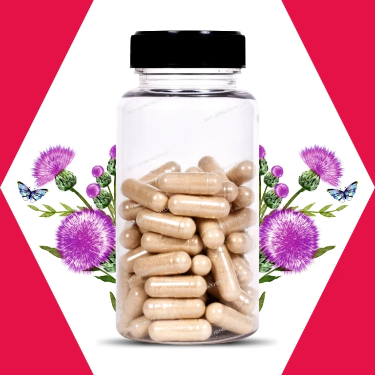 Milk Thistle Capsule4
