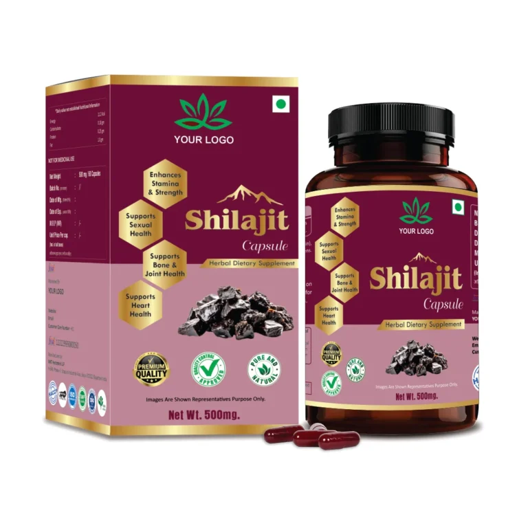 Shilajit Capsules 1
