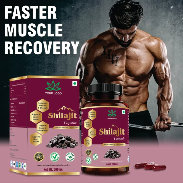 Shilajit Capsules 6