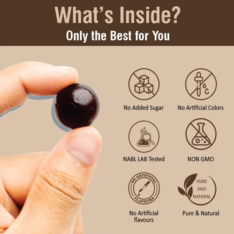 Shilajit Gummies 2 (1)
